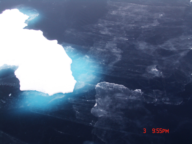 Nilas ice and frazil ice forming in open water around an ice floe