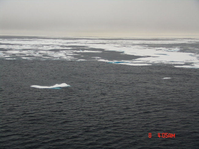 Open water with frazil ice forming between floes