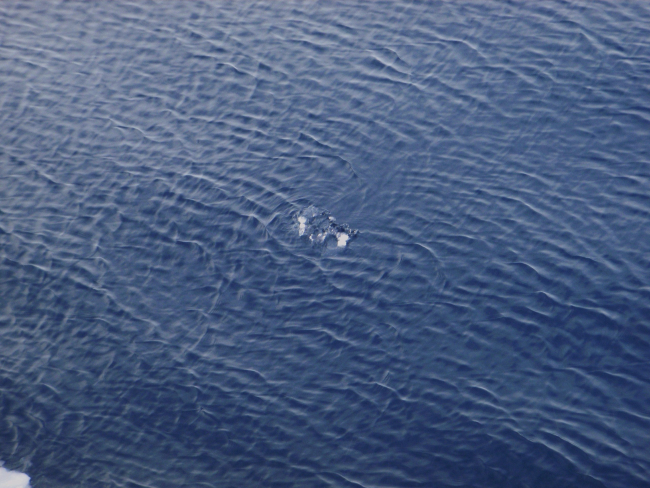 Refraction pattern in open water in vicinity of small chunk of ice