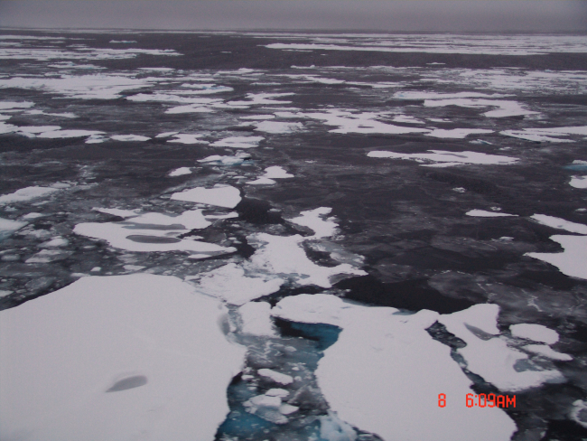 Ice floes and nilas ice in between