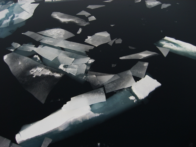 Polygons of new ice form interspersed with small first year ice floes