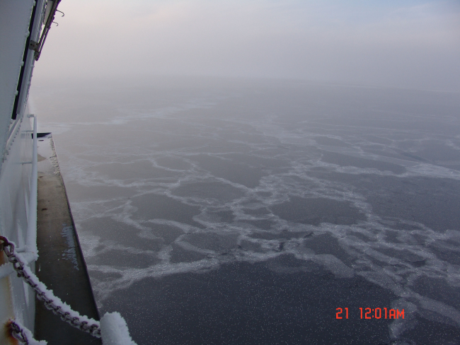 New ice forming over large area of open water with frost flowers on afoggy misty day
