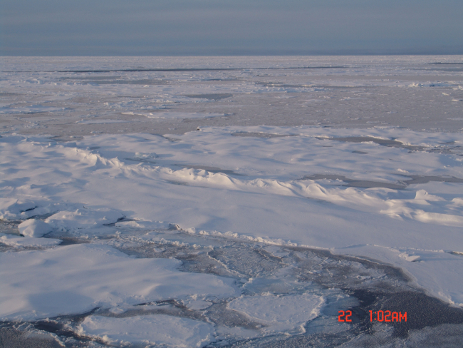 Multi-year ice floes with refrozen formerly open water areas