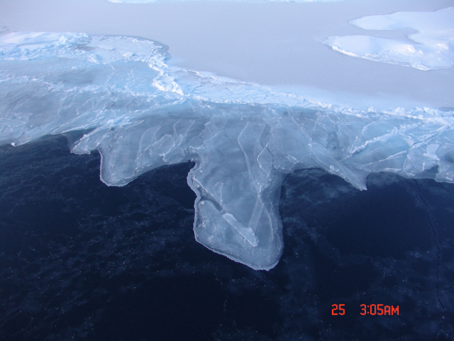 Rafting nilas forming grey-white ice as it continues to grow in thickness