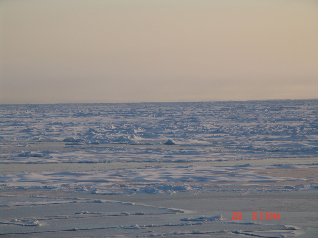 Multi-year ice floes extending to the horizon