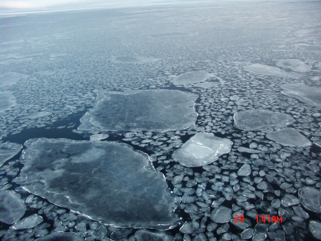 Small and large pancakes coming together to form ice floes