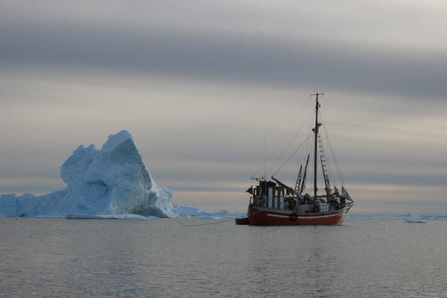 MV Sila in the ice on an expedition to the narwhal summering grounds inMelville Bay, West Greenland