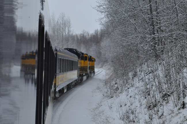A scene along the Alaska Railroad Aurora Winter Train