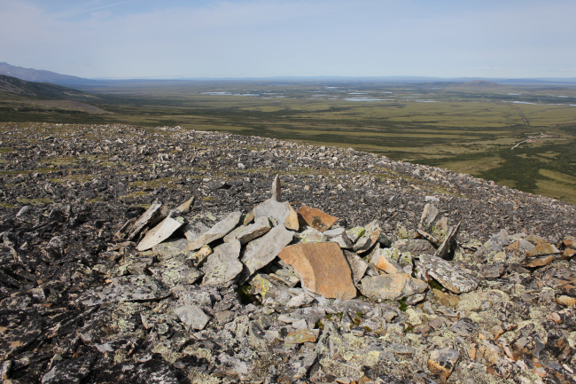 Frost-heaved lichen covered rocks interspersed with Arctic plants along theKougarok Highway