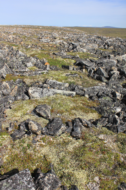 Frost heaved rocks on the high ridges above the Imuruk Basin