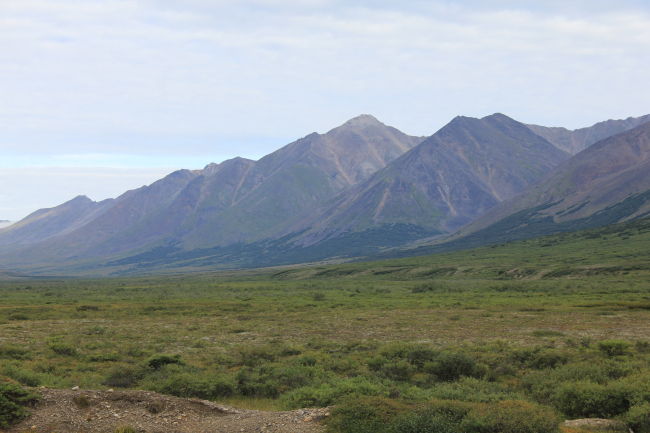 A valley in the Kigluiak Mountains on the Seward Peninsula