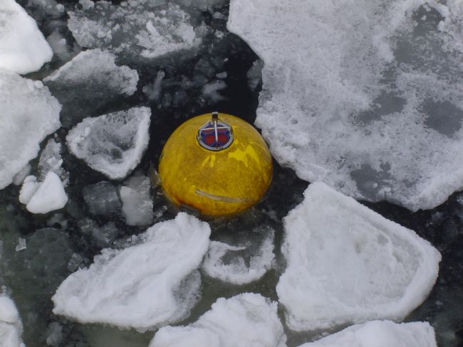 Acoustic doppler current profiler (ADCP) buoy in the ice
