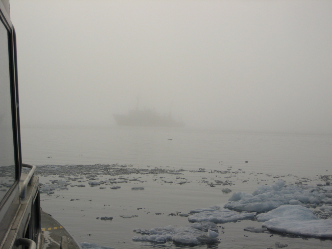 NOAA Ship FAIRWEATHER in the fog at the edge of the ice