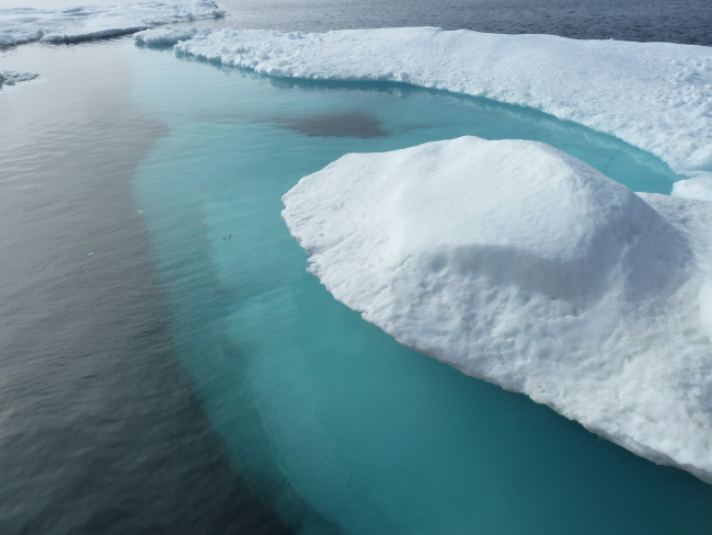 Aquamarine subsurface of ice floe