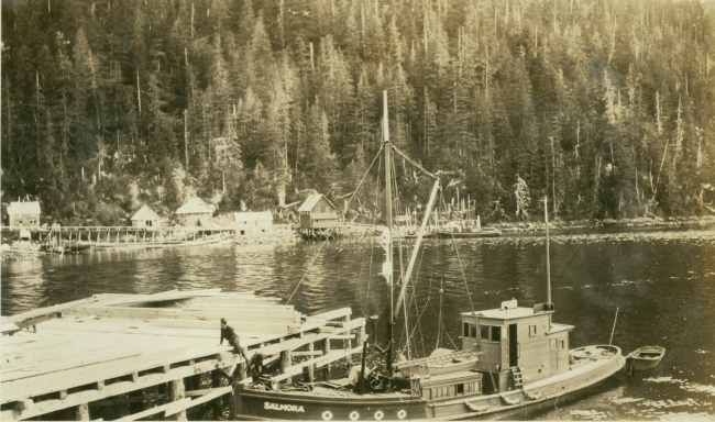 Alaska coastal scene