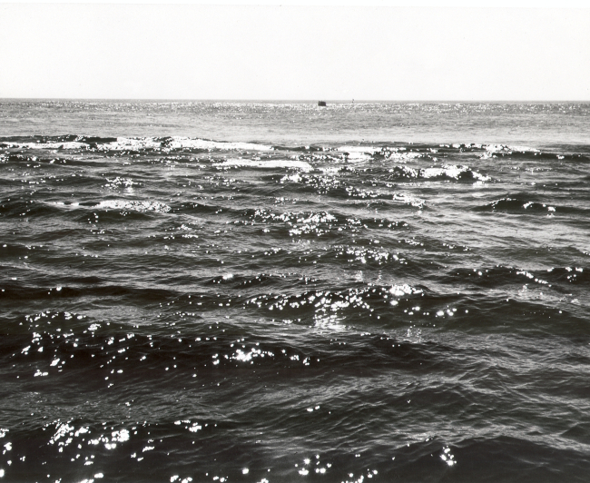 Shoal sand ridges on Georges Bank causing surface disturbance