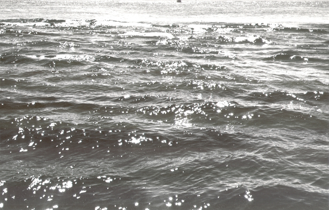 Shoal sand ridges on Georges Bank causing surface disturbance