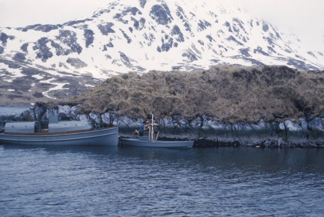 Tending a tide gage