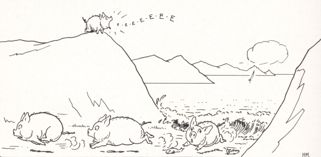 Cartoon showing pigs running from the tidal bore in an arm of the Bay ofFundy