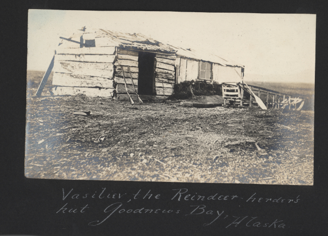 Vasiliev, the reindeer herder's hut at Goodnews Bay