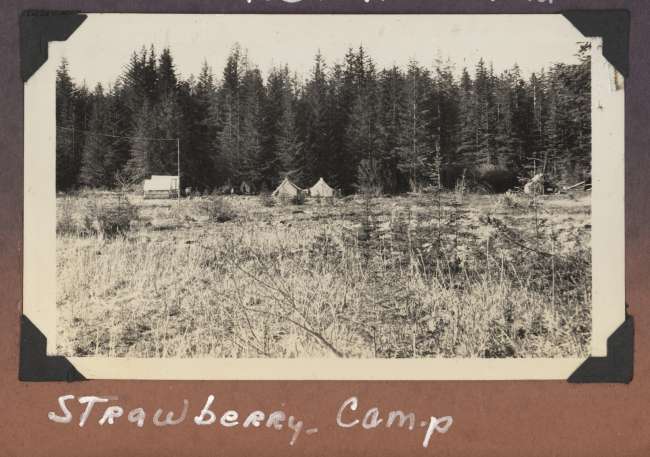 Strawberry Camp - radio antenna rigged for communication with ship