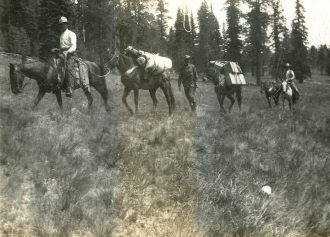 On the trail with packed mules and horseback riders