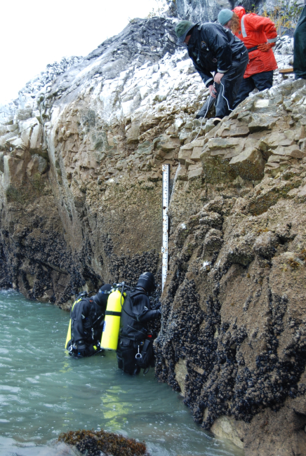 Dive operations for tide gauge installation
