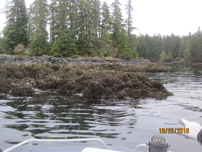 Rocks protruding into fairway observed during shoreline mapping operations