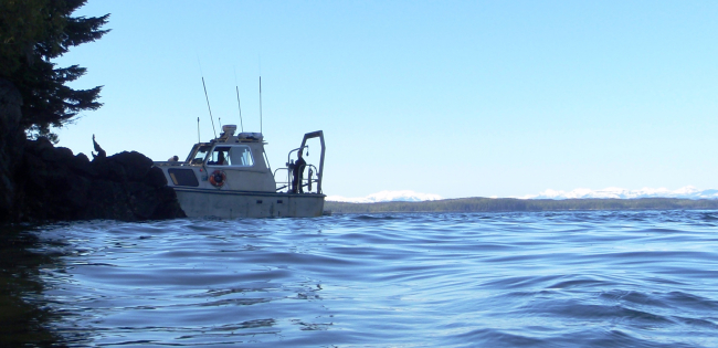 Survey boat working in close proximity to shoreline