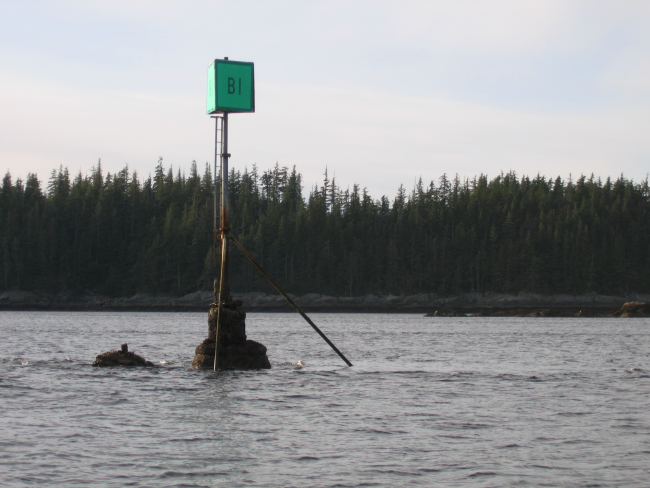 Coast Guard daymarker at a partial low tide