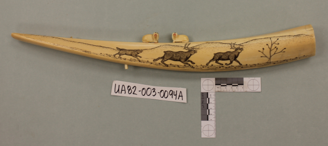 A more traditional type of scrimshaw produced by native American artists showing a wolf chasing caribou