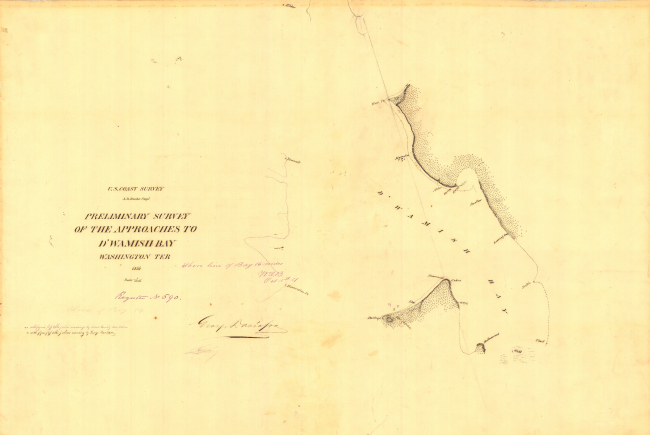 Preliminary survey H-590 of The Approaches to D'Wamish Bay, Washington Ter