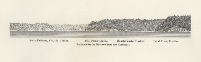 Ferdinand Westdahl view of Tacoma Narrows