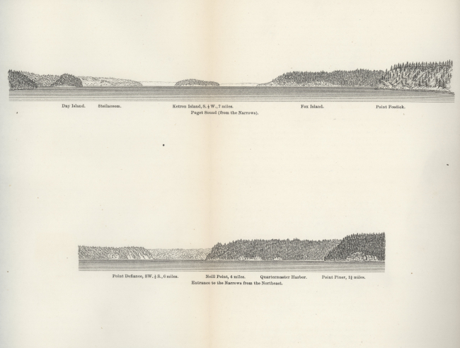 Ferdinand Westdahl view of Tacoma Narrows