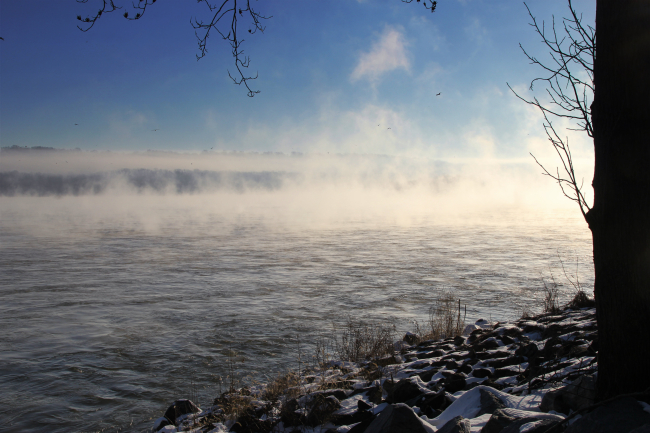River fog  on the Susquehanna River