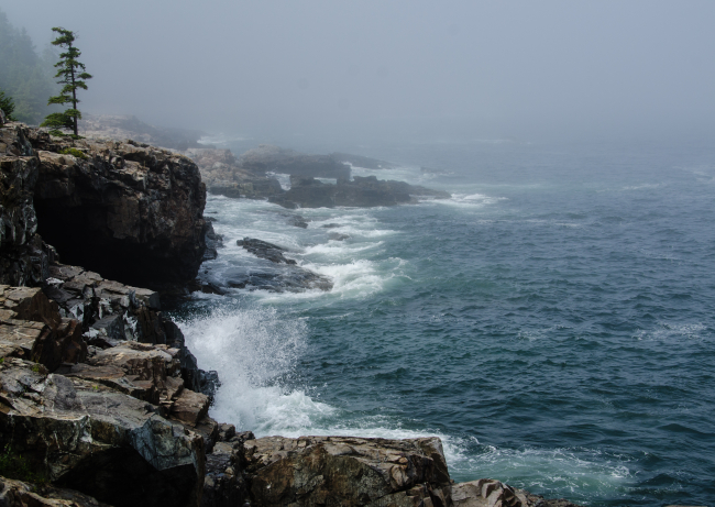 The sea and wind pound the Acadia National Park shore on a misty summer morning