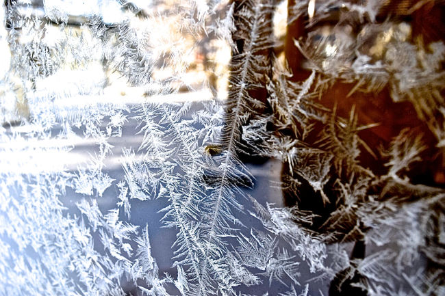 Ice crystals formed on a window
