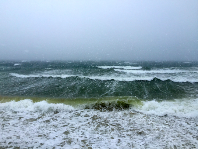 Winter Storm Neptune hits Chappaquiddick