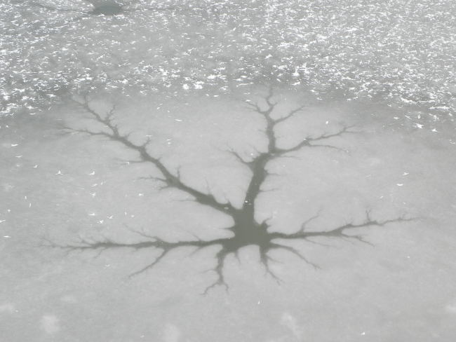 Ice Neuron