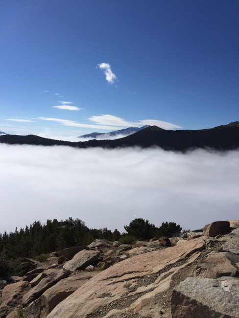 Above a cloud layer at 12,000 feet off of Trail Ridge Road