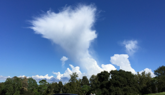 Curious cloud looking a little like Bart Simpson's haircut