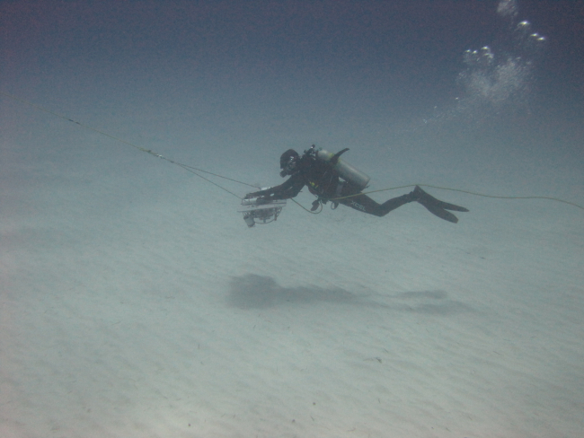 Diver towboarding over lightly rippled sand bottom seemingly devoid of life