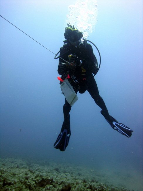 Diver running transectover murky area
