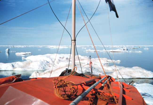 Bow of orange painted survey launch picking its way through ice bergs