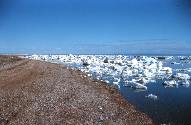 Ice along the shore at Cross Island