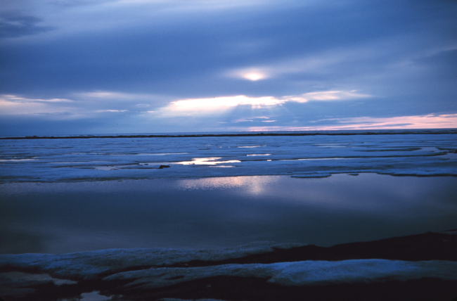 Crepuscular rays illuminate the melting ice of the Beaufort Sea