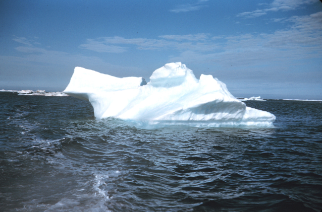 Like clouds, ice bergs can assume fantastic shapes
