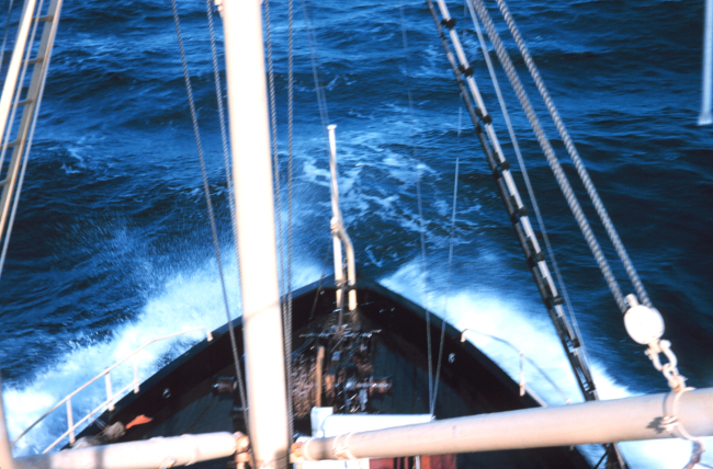 The bow of the Bureau of Commercial Fisheries Ship BROWN BEAR