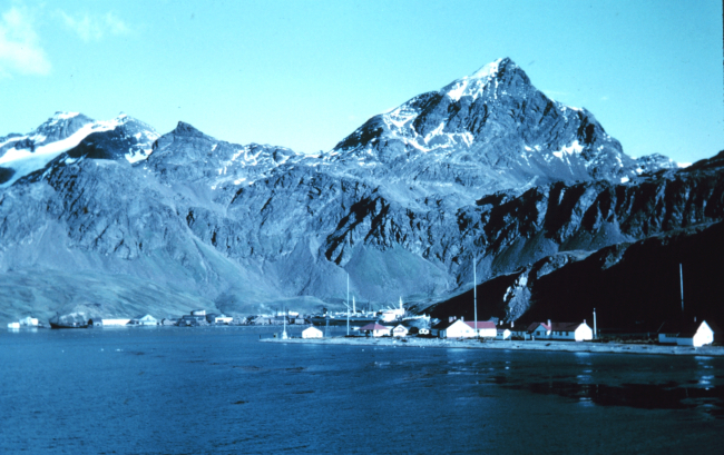 Grytviken, a  whaling base