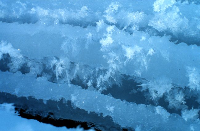 Ice crystals forming